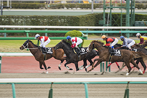 競馬占い