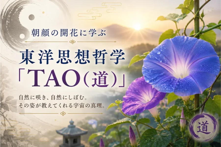 朝顔の開花に学ぶ東洋思想哲学「TAO(道)」|ゆき胡蝶の東洋占星術